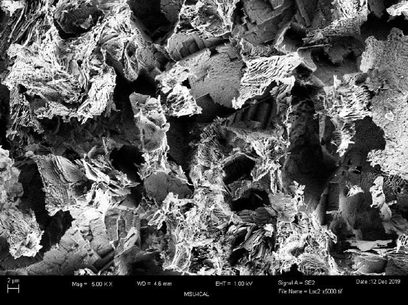 High resolution image of rough surface of corroded steel sample exposed to sulfate-reducing bacteria