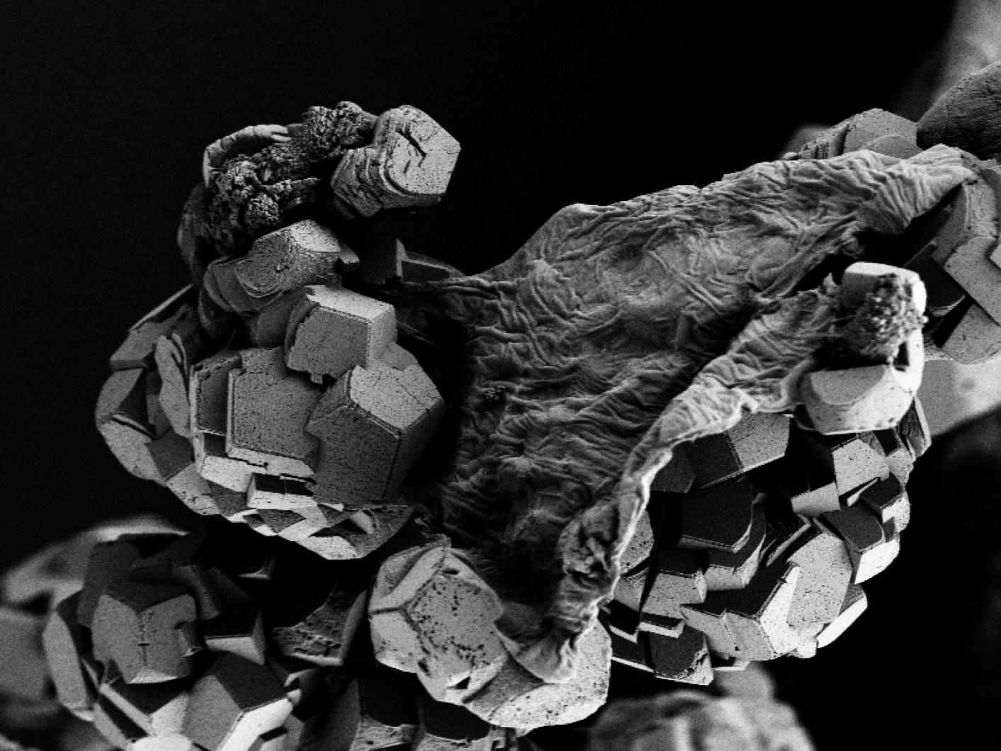 Nanoscale Image