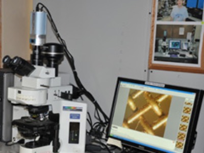 Photo of Epifluorescence Optical Microscope