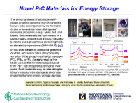 Novel P-C Materials for Energy Storage