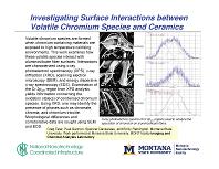Investigating Surface Interactions between Volatile Chromium Species and Ceramics