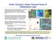 Sulfur Cycling in Deep Thermal Vents of Yellowstone Lake